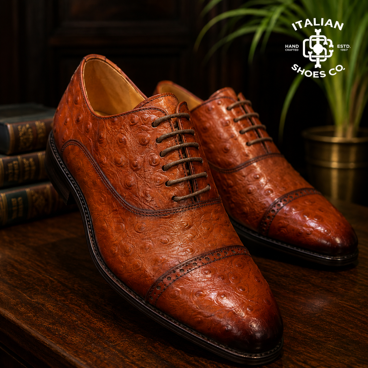 Italy Shoes & Co. Dress Shoes