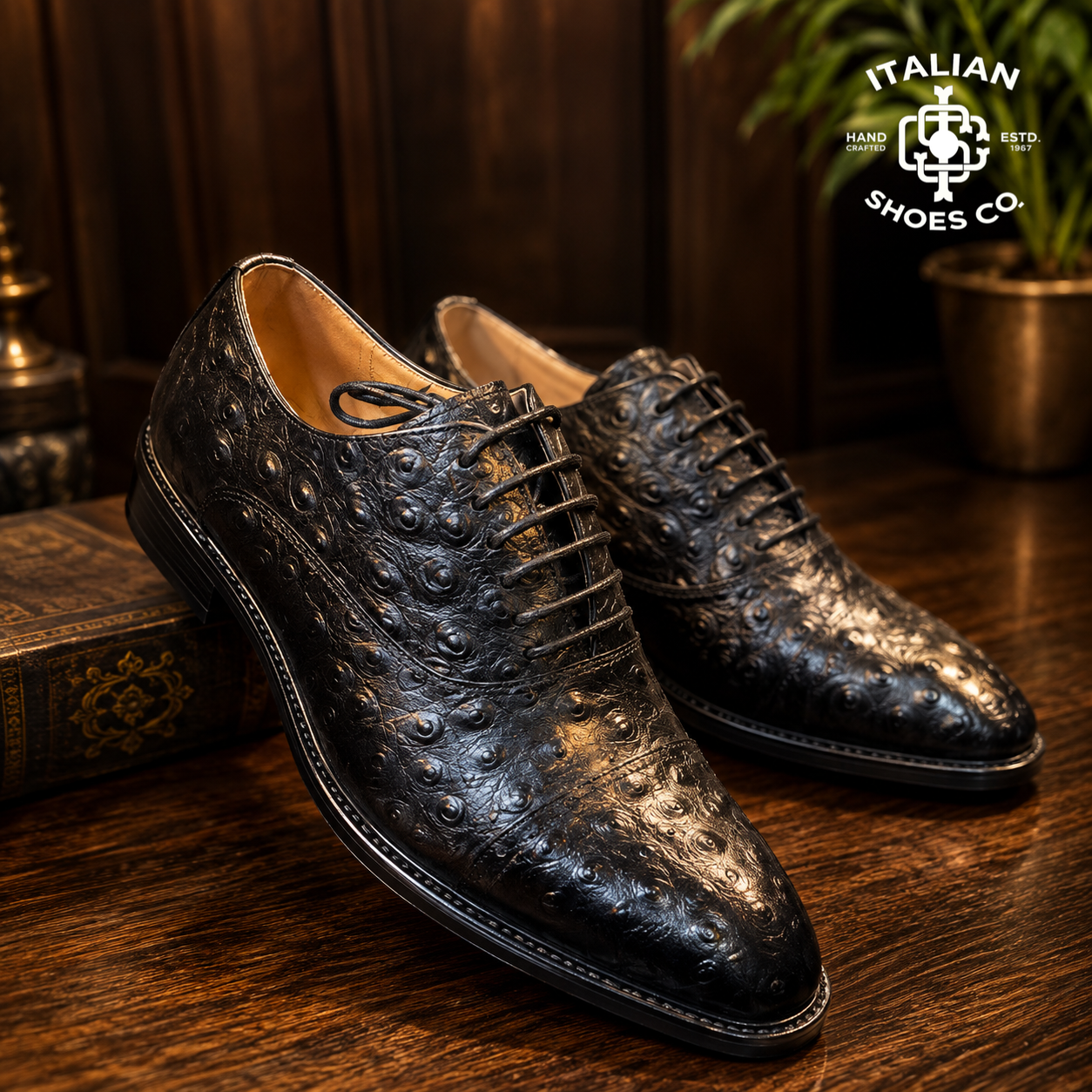 Italy Shoes & Co. Dress Shoes
